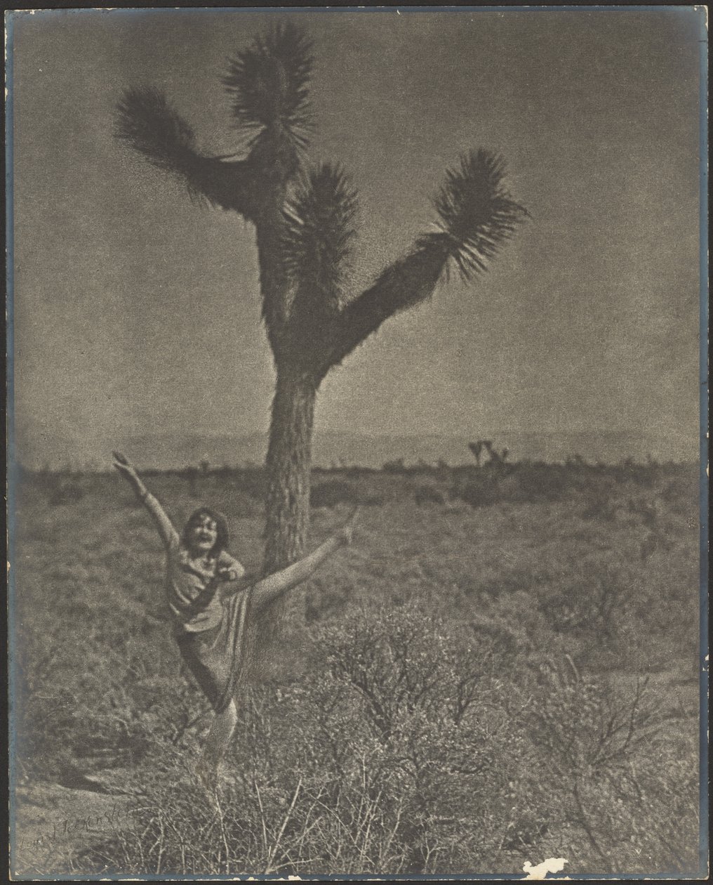 [Tancerka w Joshua Tree] autorstwa Louis Fleckenstein