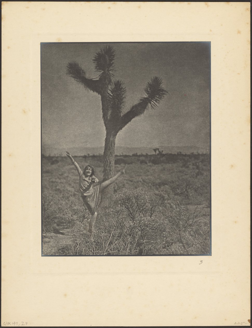 [Tancerka w Joshua Tree] autorstwa Louis Fleckenstein