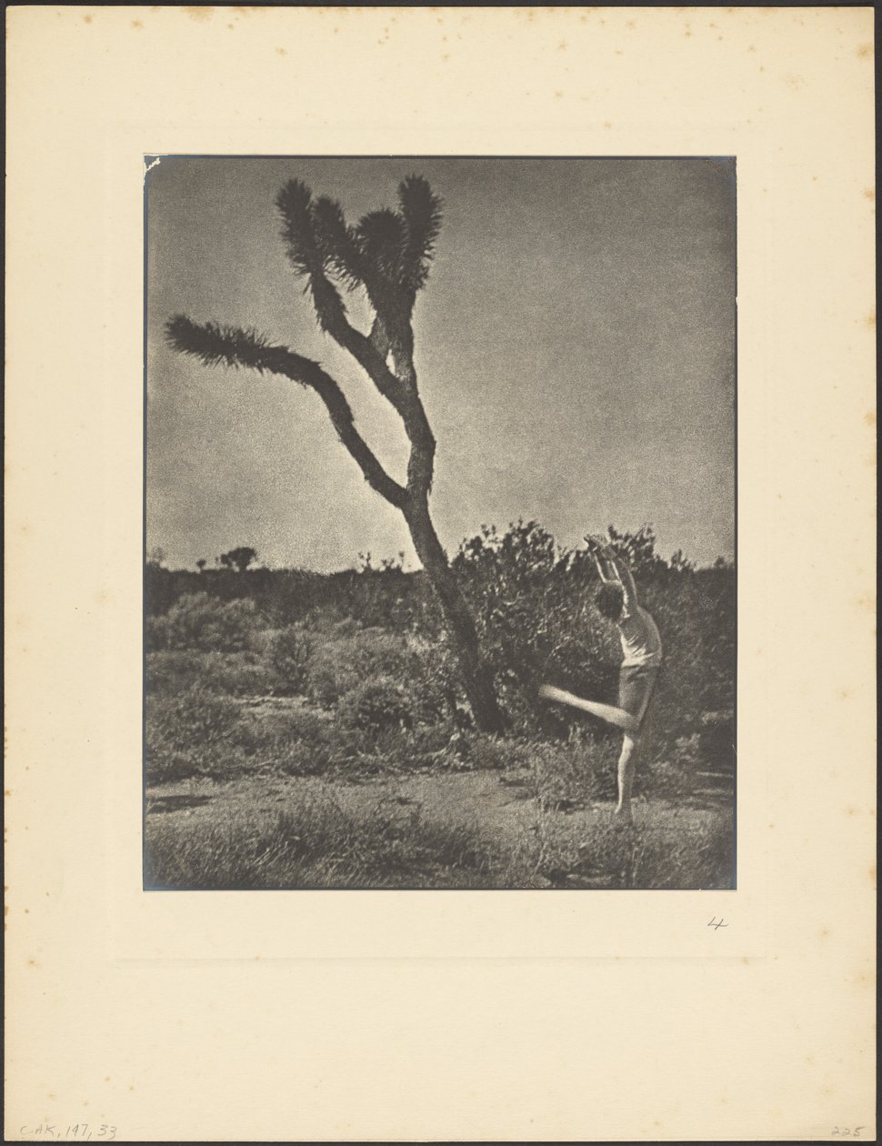 [Tancerka w Joshua Tree] autorstwa Louis Fleckenstein