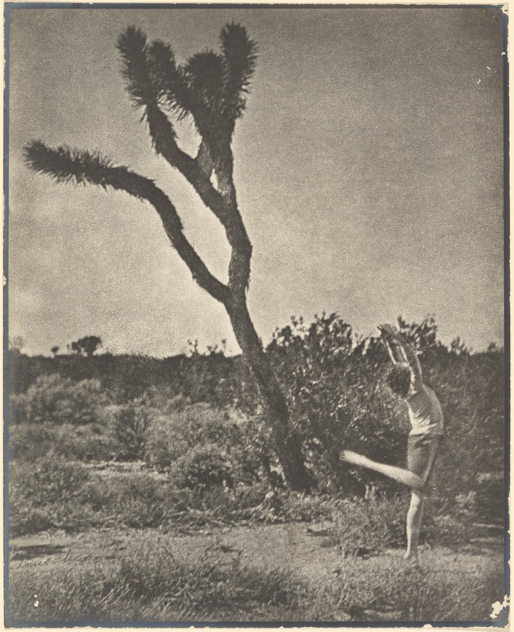 [Tancerz przy Joshua Tree] autorstwa Louis Fleckenstein