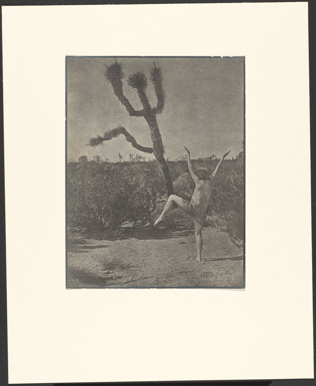Dancing Master autorstwa Louis Fleckenstein