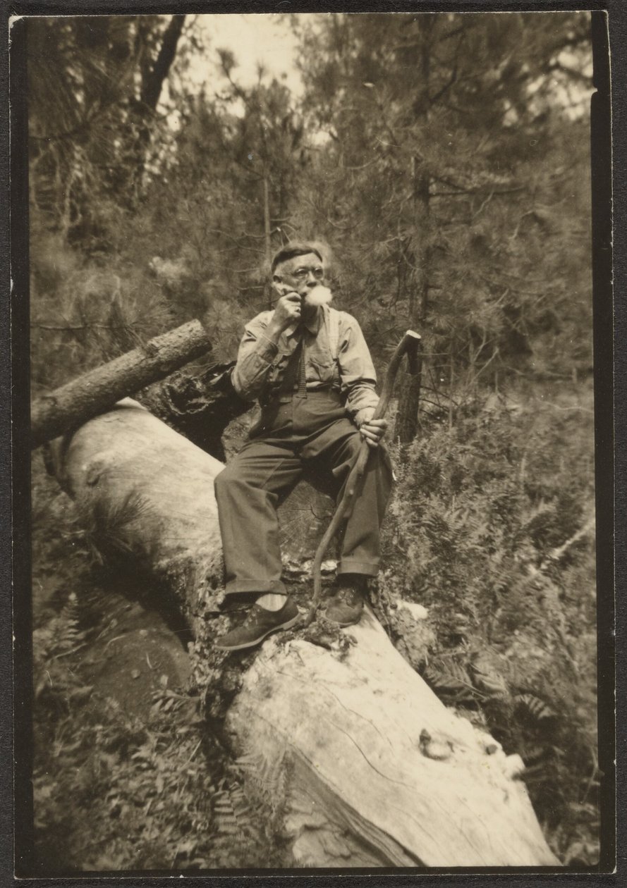 [Fleckenstein on a Log] autorstwa Louis Fleckenstein
