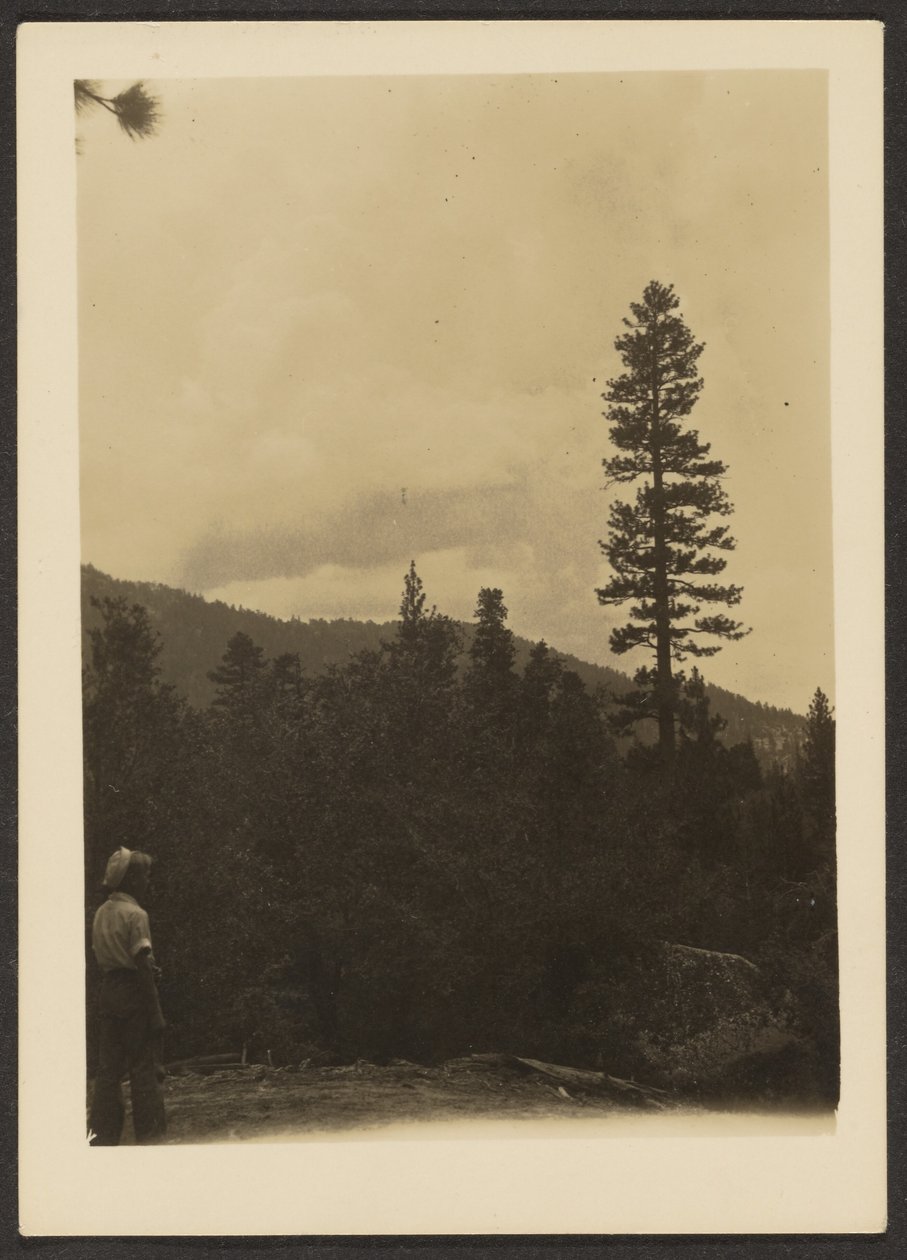 [Idyllwild] autorstwa Louis Fleckenstein
