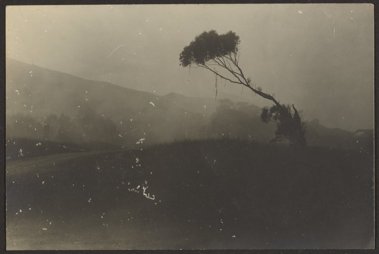 Laguna Beach autorstwa Louis Fleckenstein