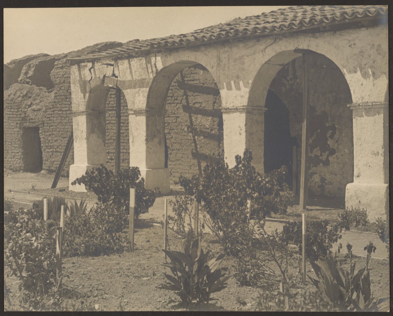[Mission Garden] autorstwa Louis Fleckenstein