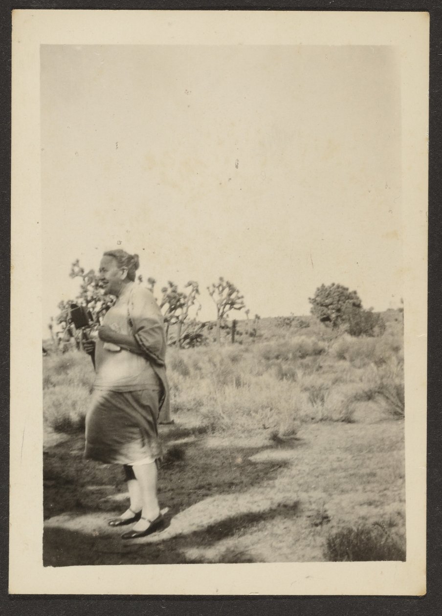 [Pani Fleckenstein w Krajobrazie]. autorstwa Louis Fleckenstein