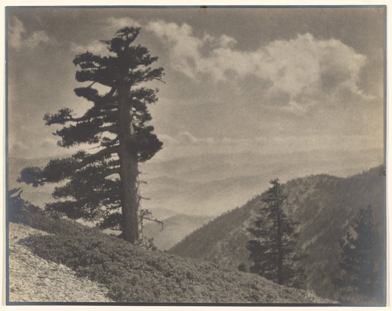 [Na grzbiecie do Old Baldy] autorstwa Louis Fleckenstein