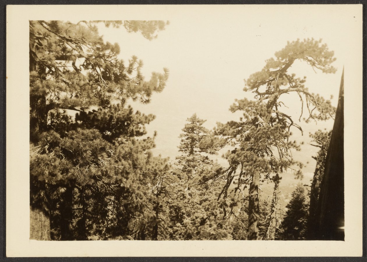 [Santa Rosa Peak] autorstwa Louis Fleckenstein