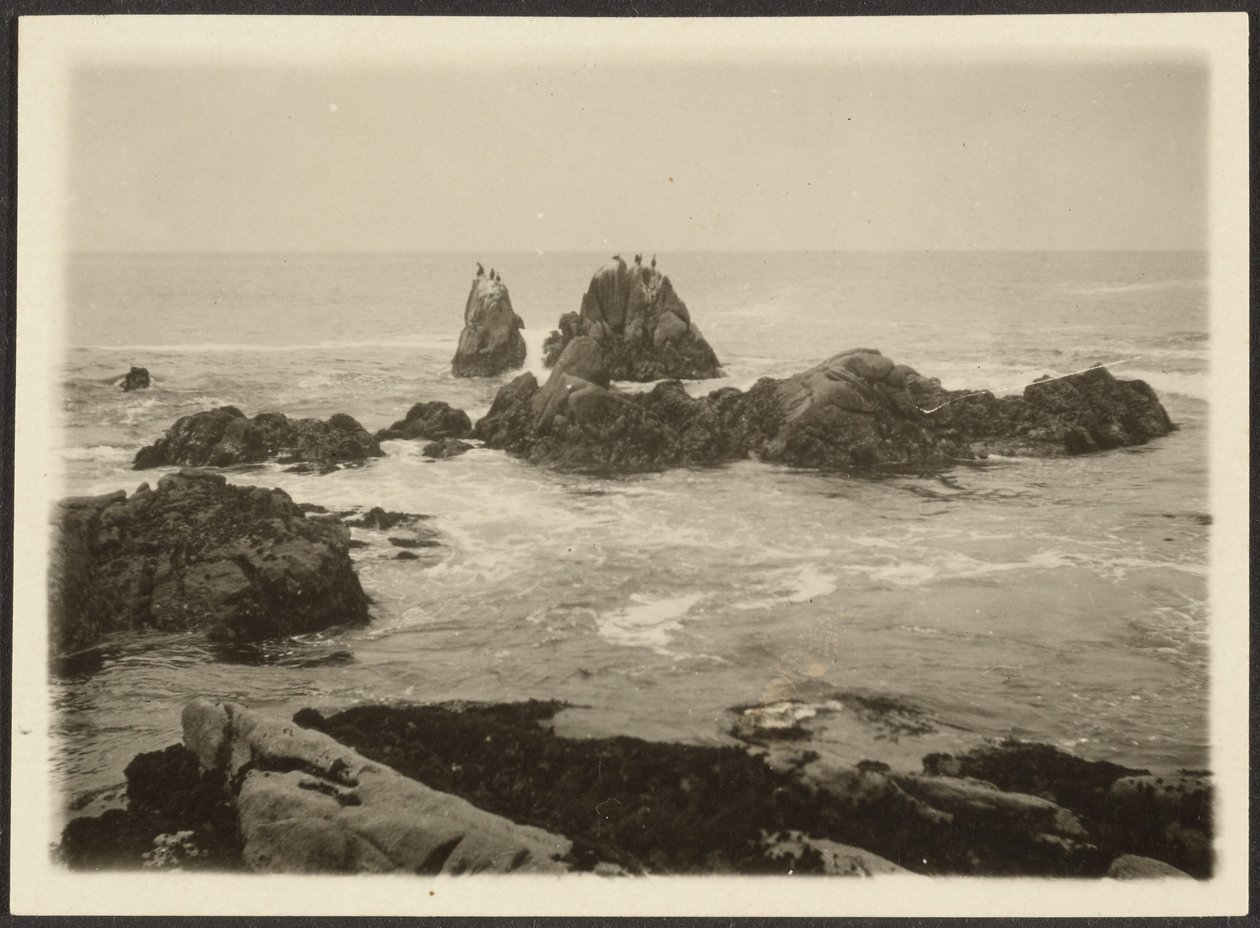 [Seascape] autorstwa Louis Fleckenstein