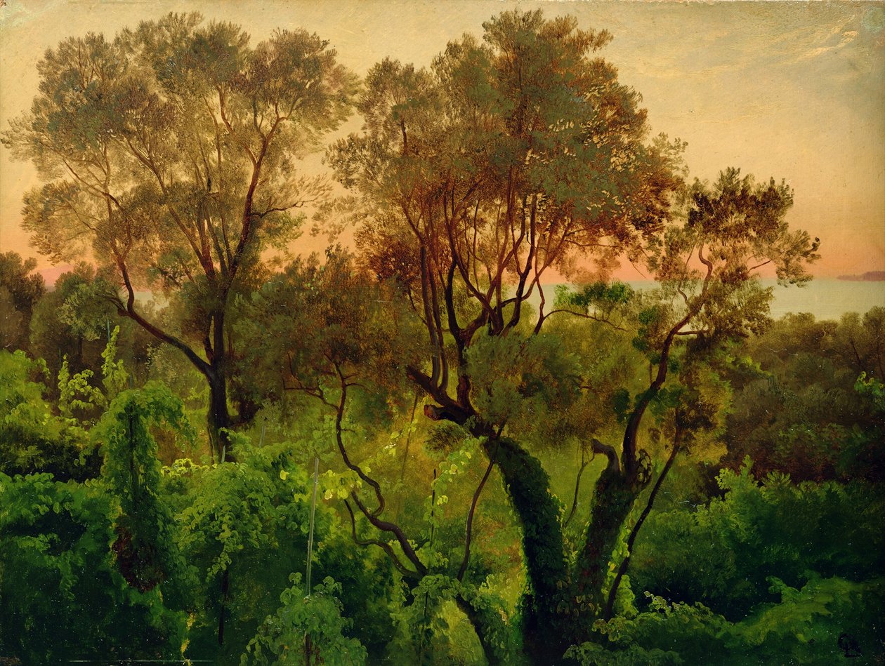 Zbocze z drzewami oliwnymi autorstwa Louis Gurlitt