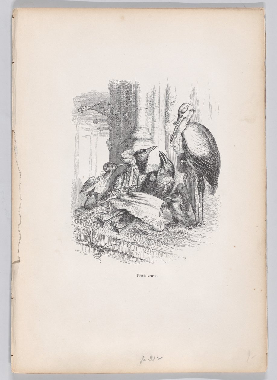 Byłam wdową ze Scen z Prywatnego i Publicznego Życia Zwierząt, ok. godz. 1837-47. autorstwa Louis Henri Brévière