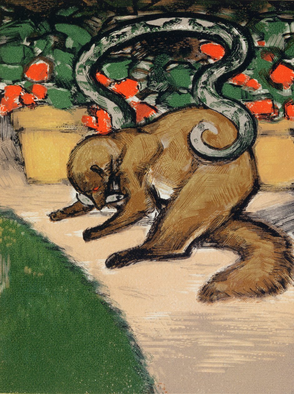 Rikki-Tikki-Tavi, ilustracja z "Księgi dżungli" Rudyarda Kiplinga (1965-1936) opublikowanej w Paryżu autorstwa Louis Joseph Soulas