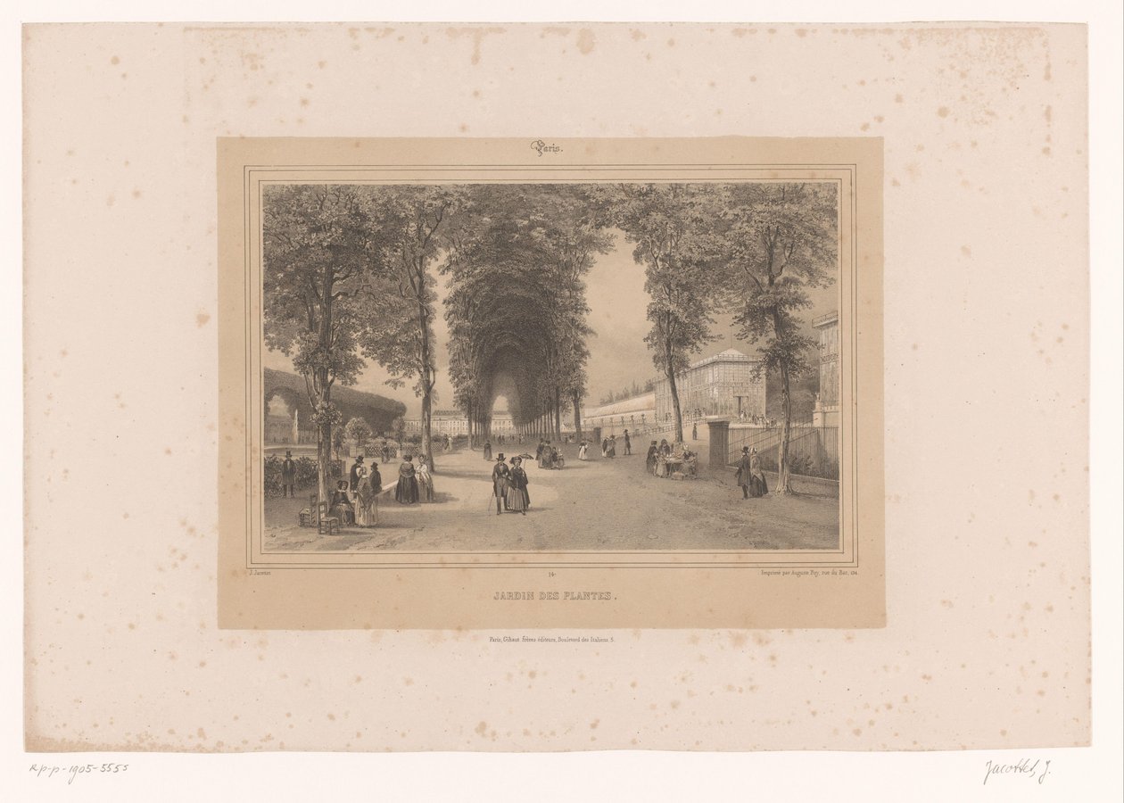 Widok na Jardin des Plantes Jardin des Plantes (tytuł na obiekcie) Twarze w Paryżu i okolicach (tytuł serii) Paryż (tytuł serii na obiekcie) autorstwa Louis Julien Jacottet