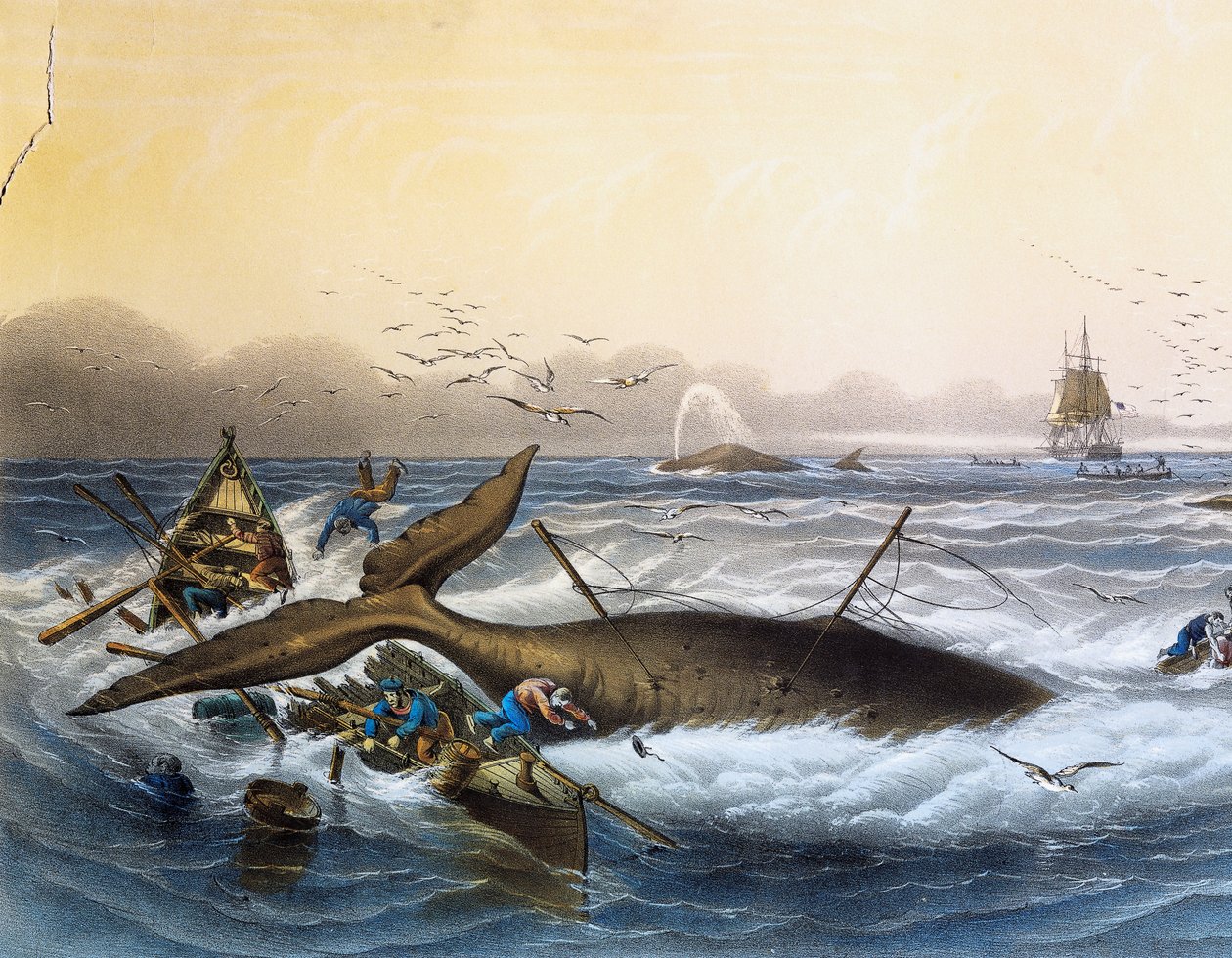 Wielorybnictwo na morzach południowych, litografia kolorowa autorstwa Louisa Lebretona (zm. 1866) autorstwa Louis Le Breton