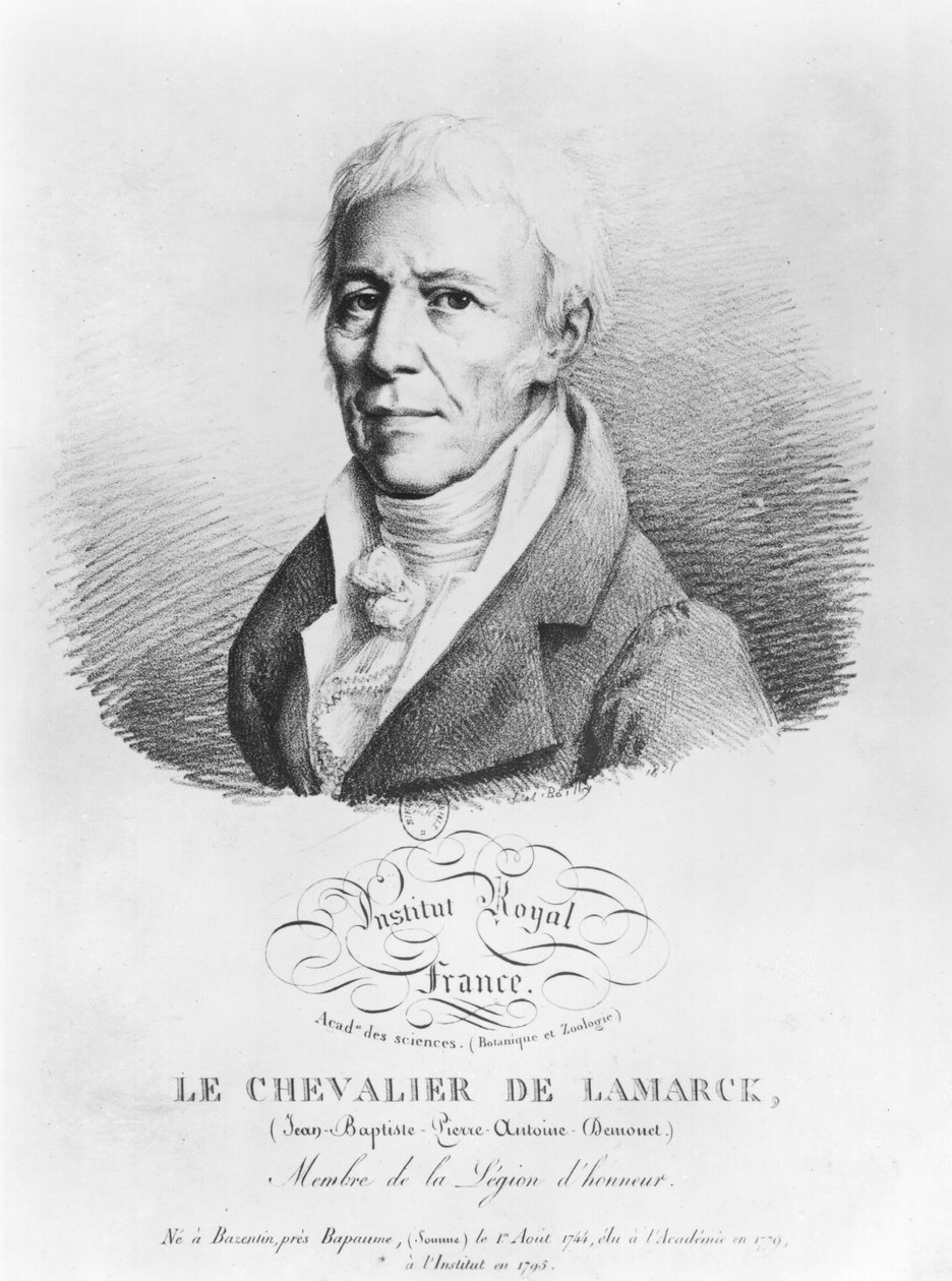 Portret Jean-Baptiste de Monet (1744-1829) Chevalier de Lamarck, z „Recueil de portraits descadeiens celebres”, początek XIX wieku autorstwa Louis Leopold Boilly