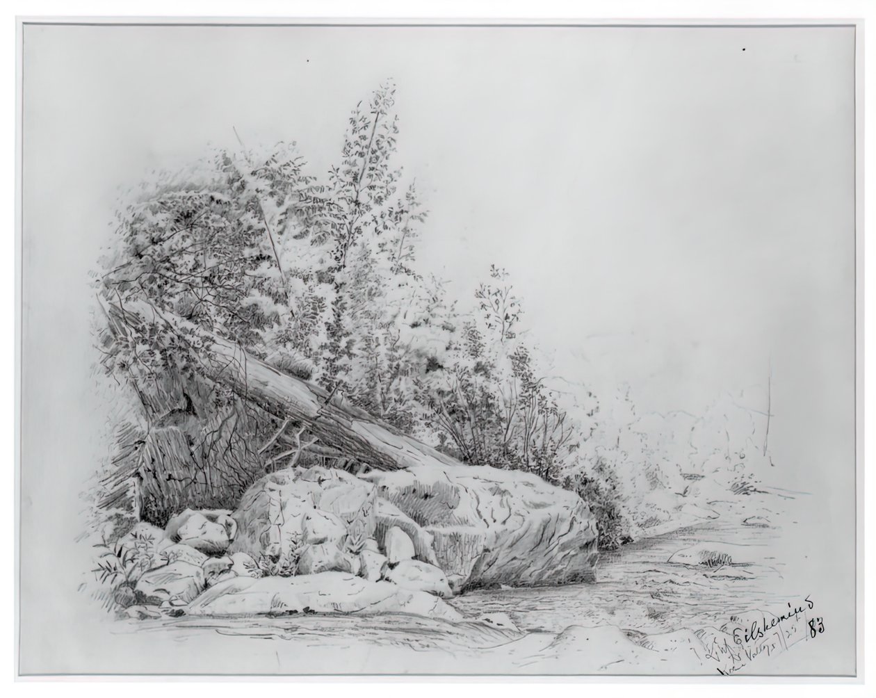 Powalone drzewo, Keene Valley, 25 lipca 1883 r. autorstwa Louis Michel Eilshemius