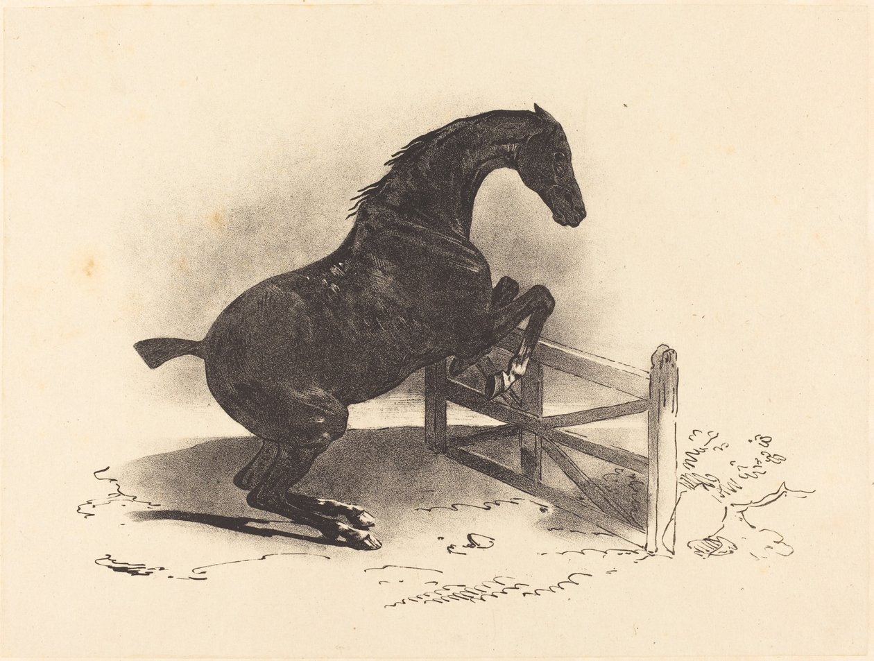 Koń skaczący przez barierę autorstwa Louis Pierre Marie Courtin after Théodore Gericault