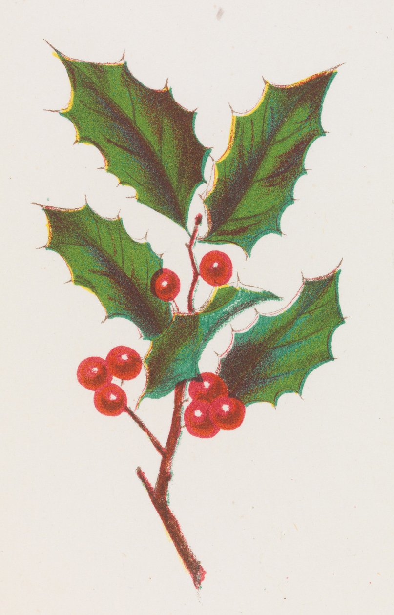 Holly, 1862. autorstwa Louis Prang