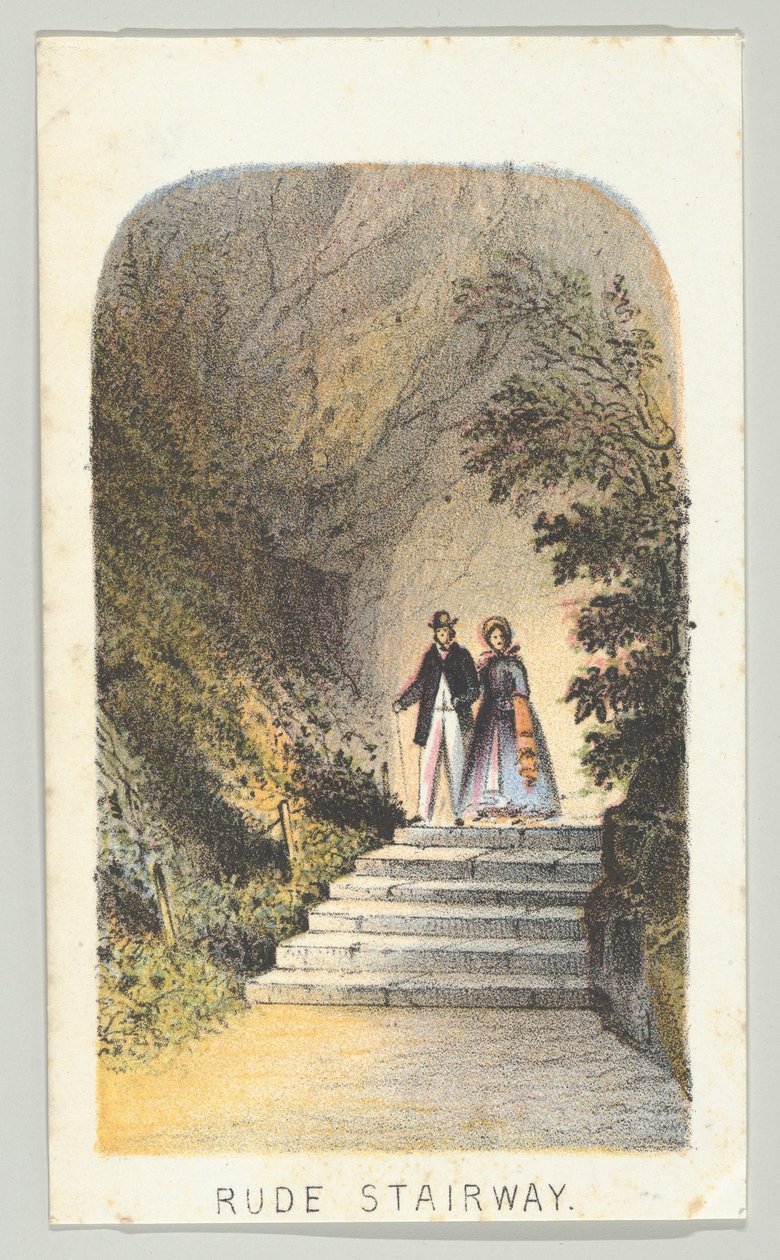 Niegrzeczne schody, z serii Widoki w Central Parku, Nowy Jork, część 2, 1864. autorstwa Louis Prang