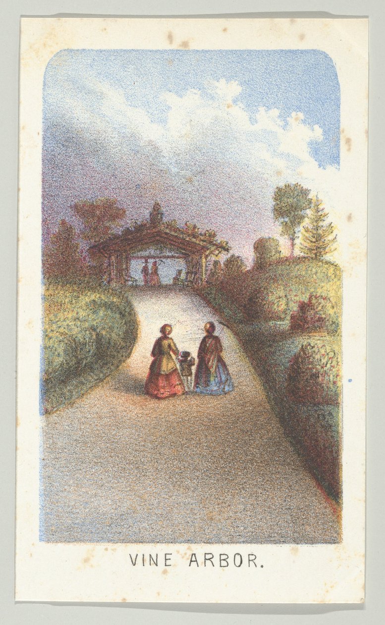 Vine Arbor, z serii Widoki w Central Parku, Nowy Jork, część 3, 1864. autorstwa Louis Prang