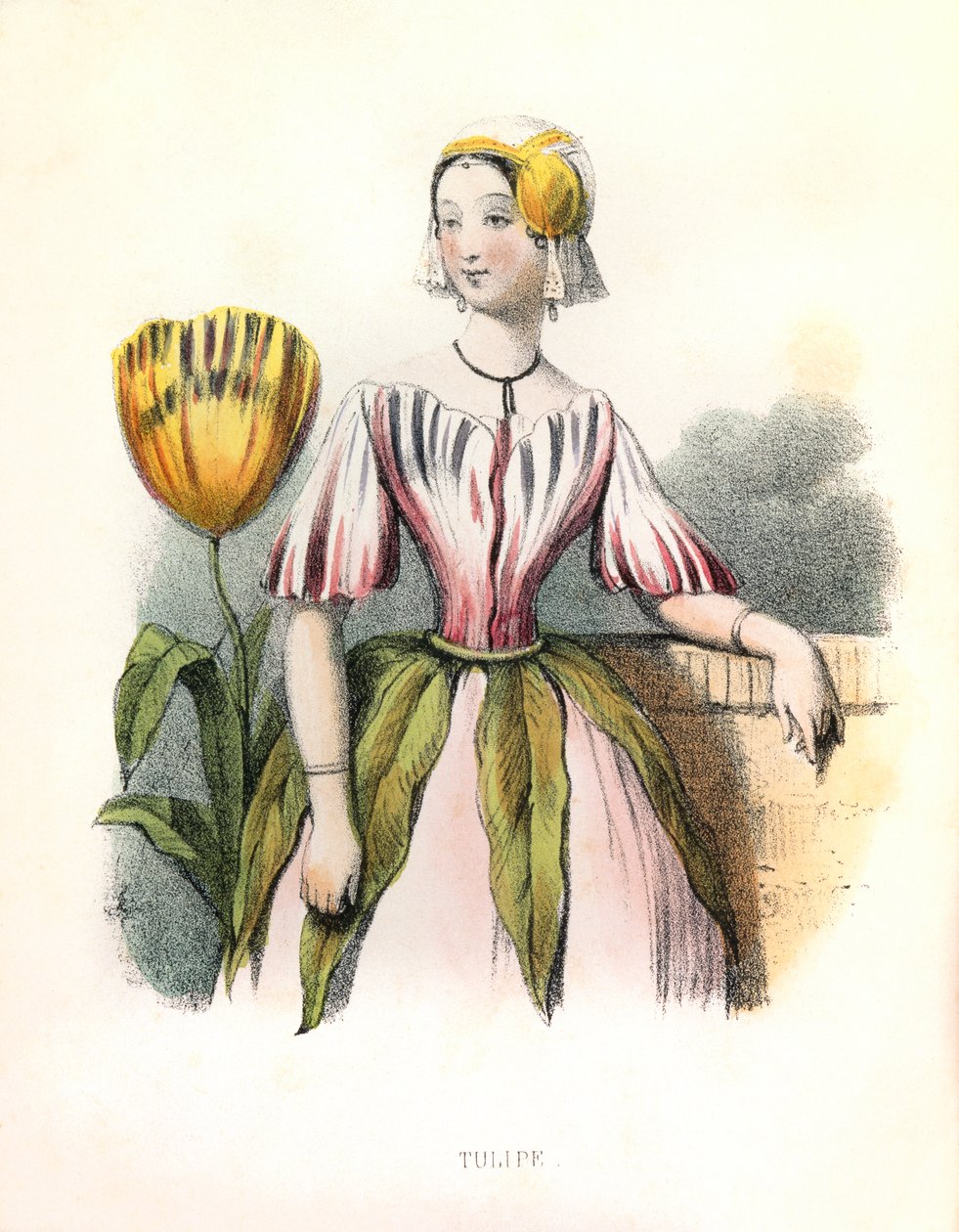 Allegorie , la Tulipe autorstwa Louis Simon (1810-1870) Lassalle