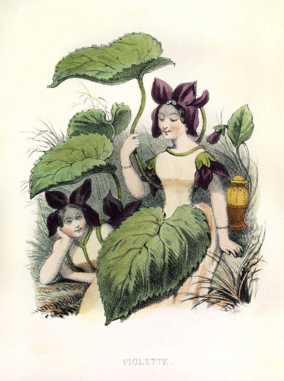 Alegorie , la Violette autorstwa Louis Simon (1810-1870) Lassalle