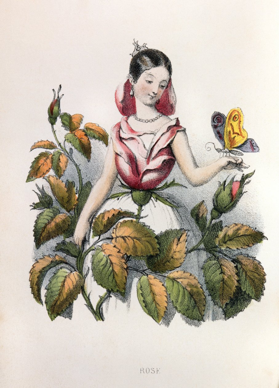 Alegorie, la rose autorstwa Louis Simon (1810-1870) Lassalle