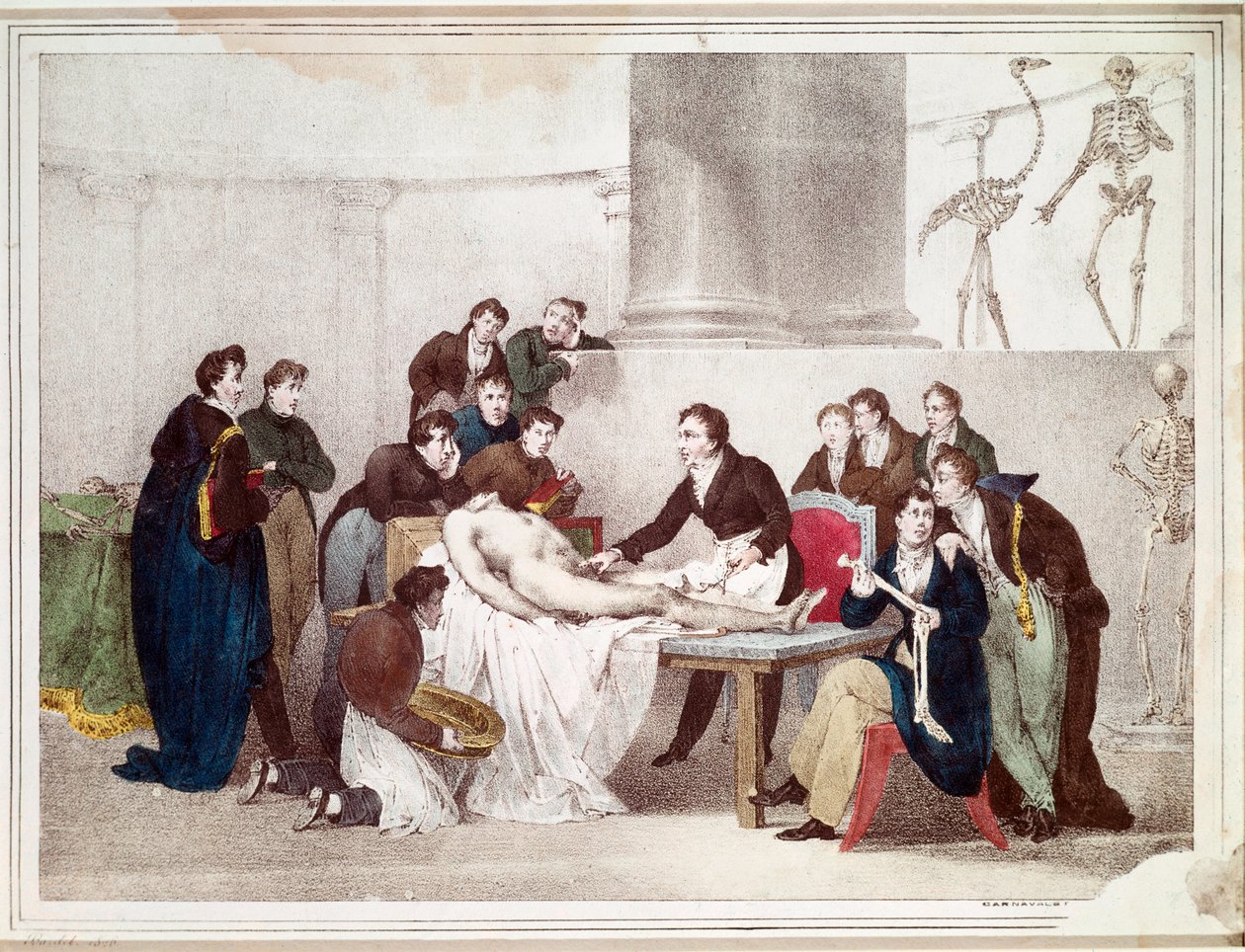 Lekcja anatomii (litografia) autorstwa Louis Thomas Bardel