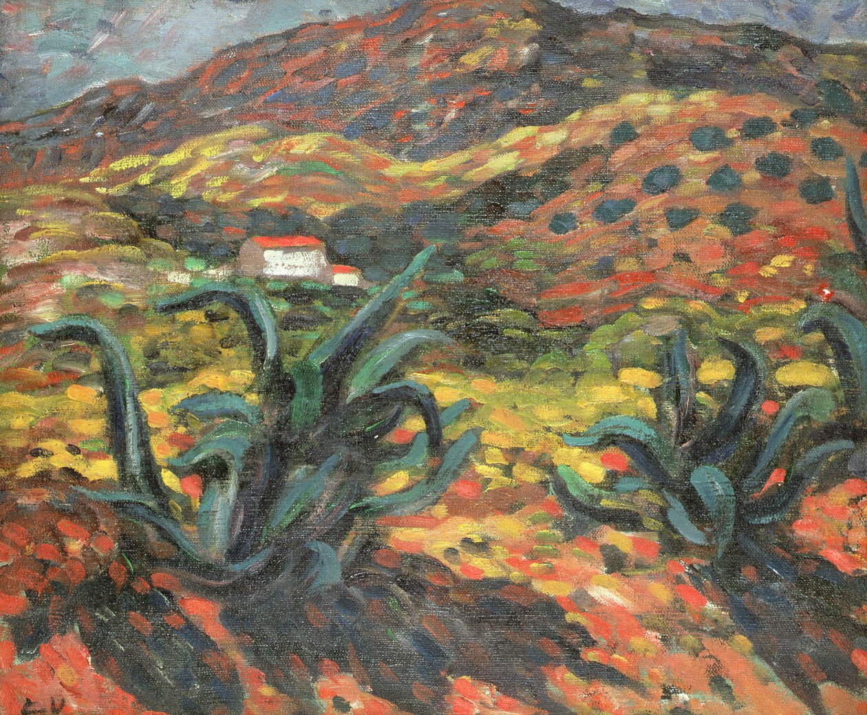Agawy autorstwa Louis Valtat
