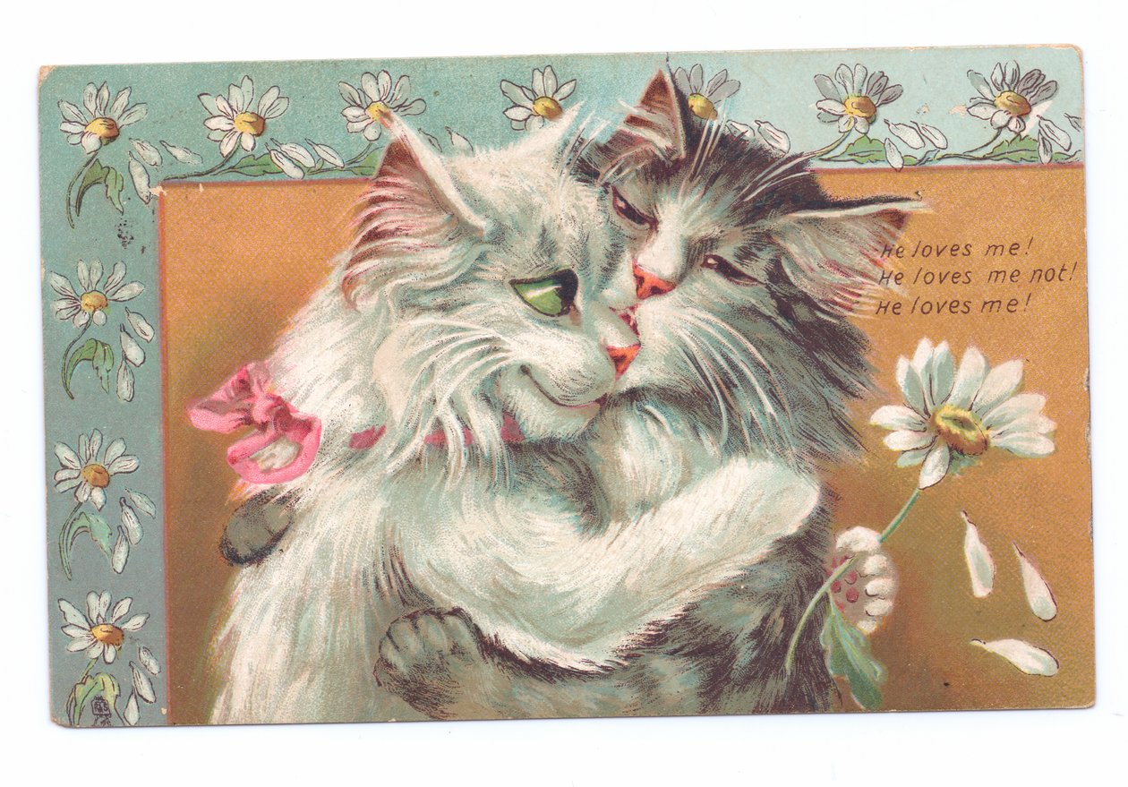 Edwardiańska pocztówka przedstawiająca dwa przytulające się koty, ok. 1910 r. autorstwa Louis Wain