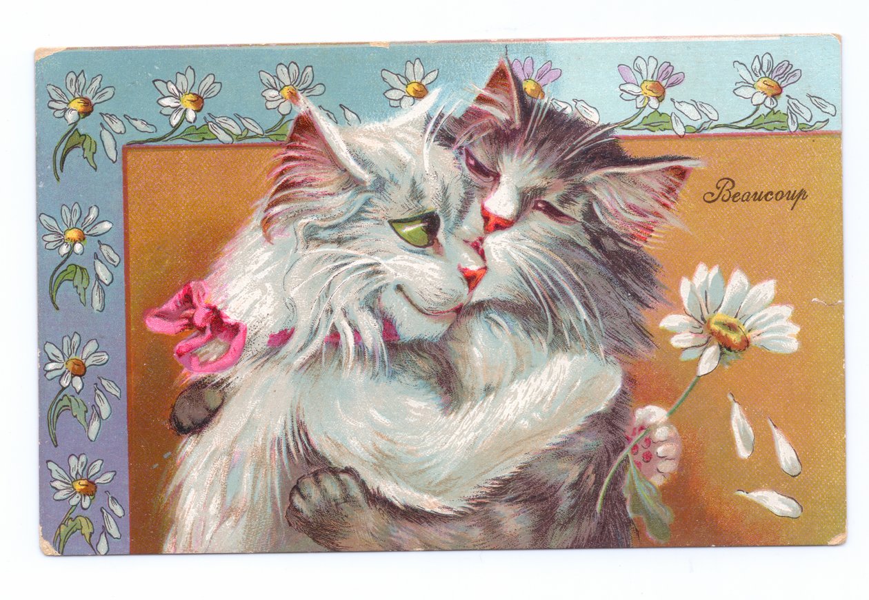 Edwardiańska pocztówka przedstawiająca dwa przytulające się koty, ok. 1910 r. autorstwa Louis Wain