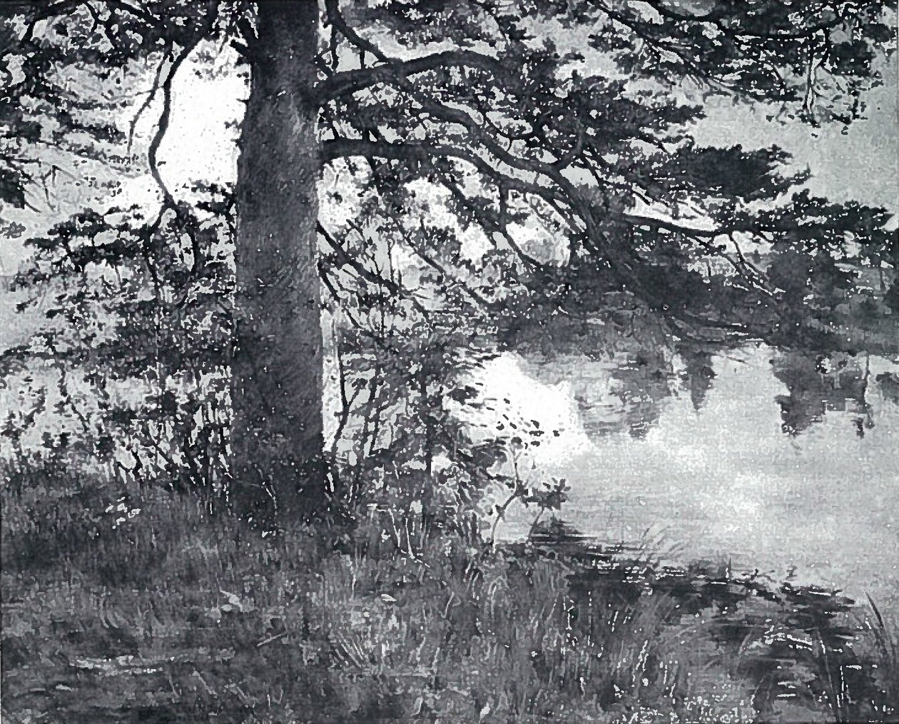 Sosna nad wodą autorstwa Lovis Corinth