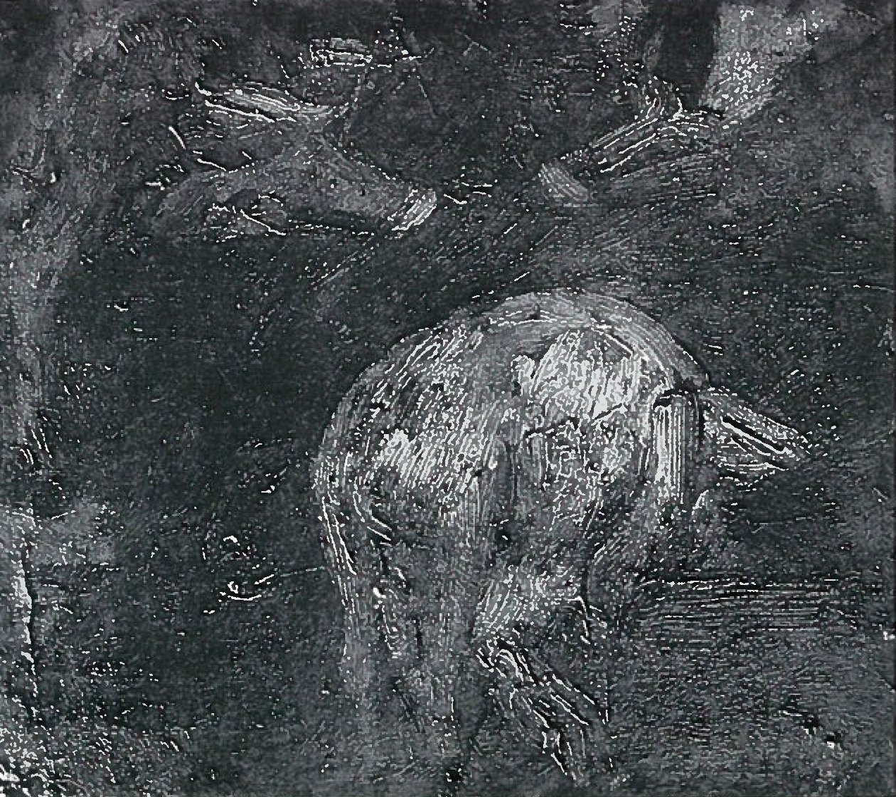 Badania świń autorstwa Lovis Corinth