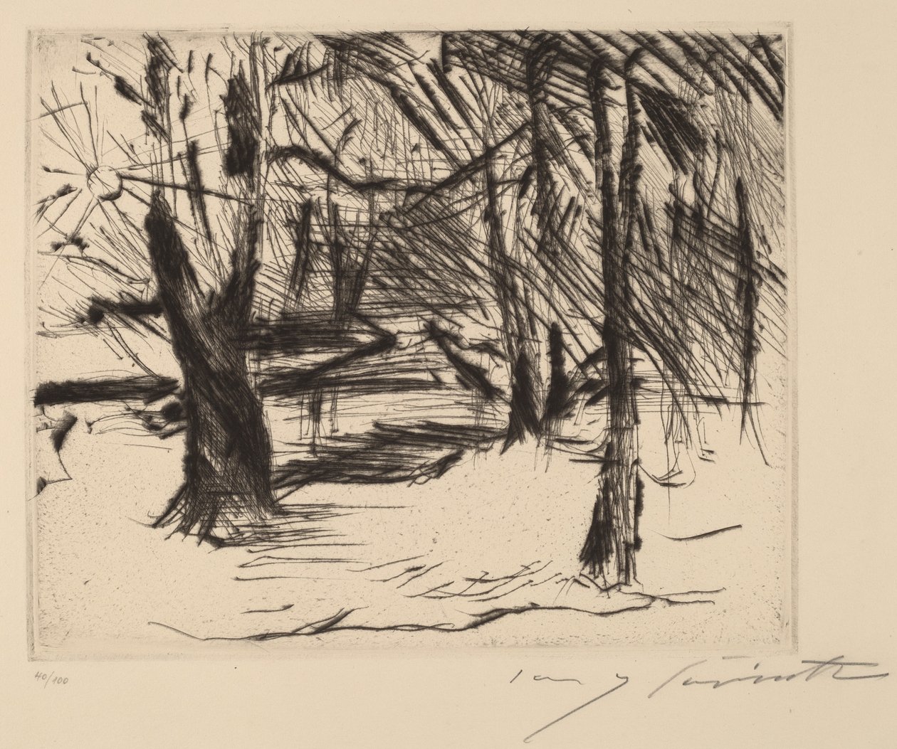 Drzewa ze słońcem Drzewa w słońcu, 1920-1921. autorstwa Lovis Corinth