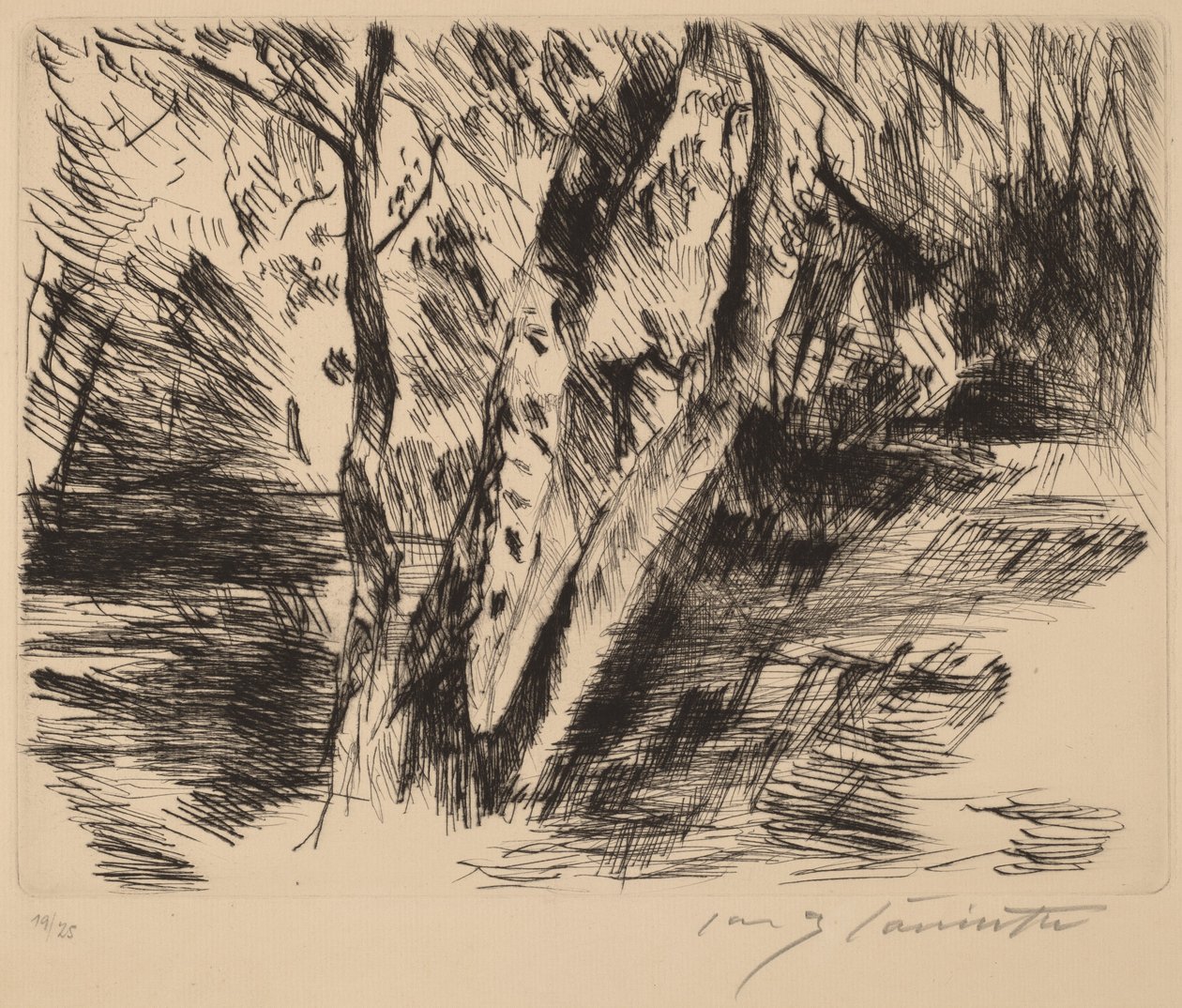 Brzozy w Tiergarten autorstwa Lovis Corinth