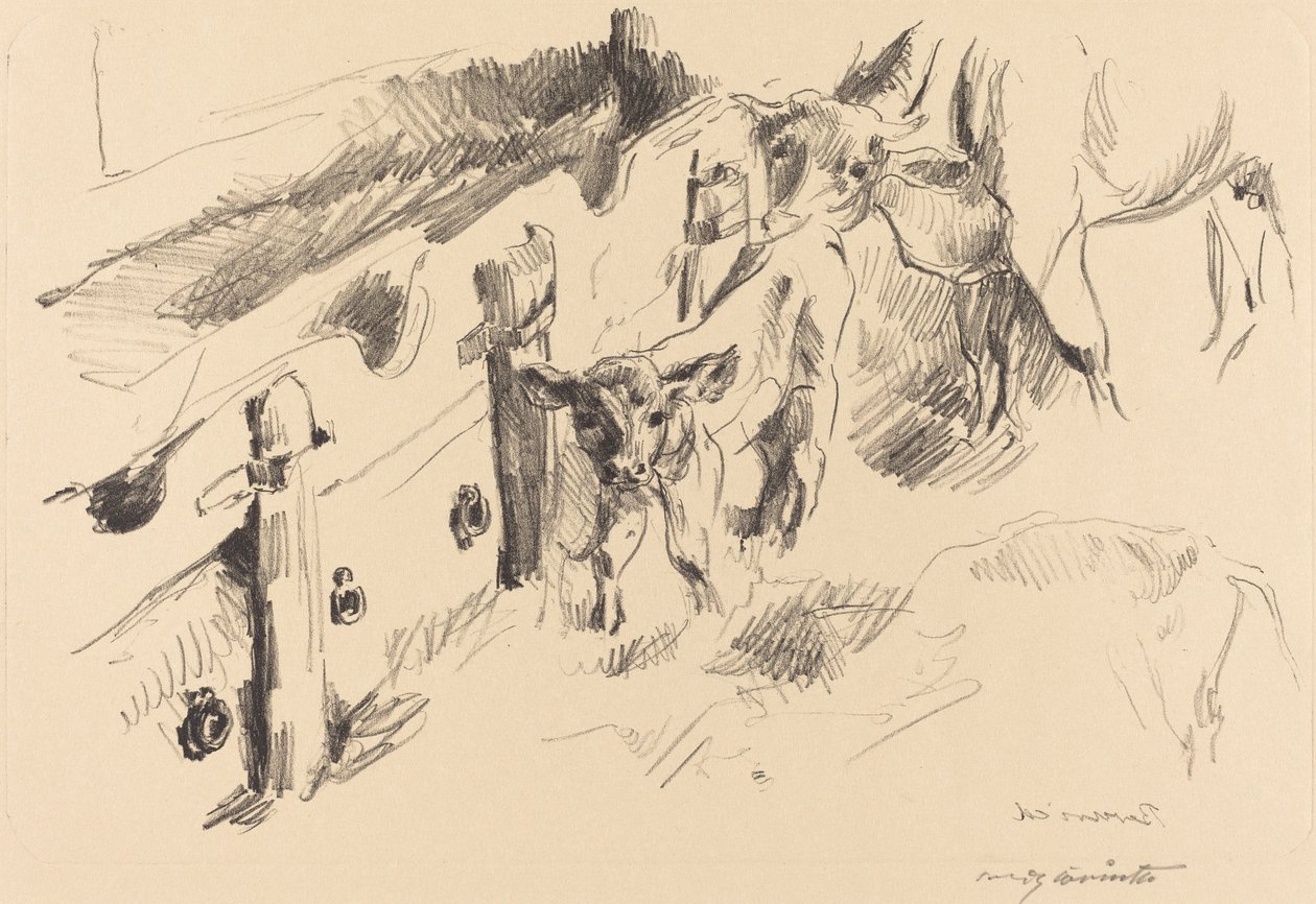cielęta autorstwa Lovis Corinth