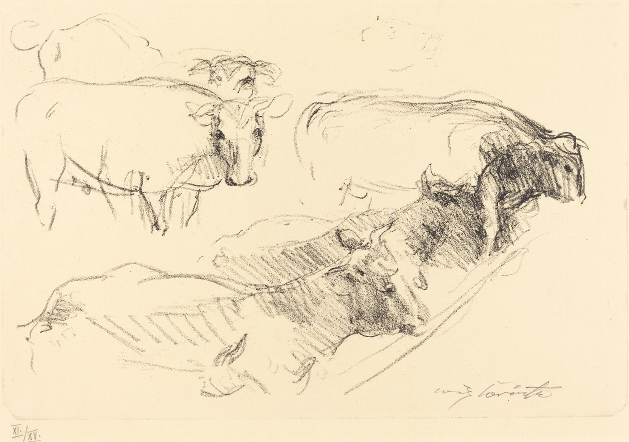 krowy autorstwa Lovis Corinth