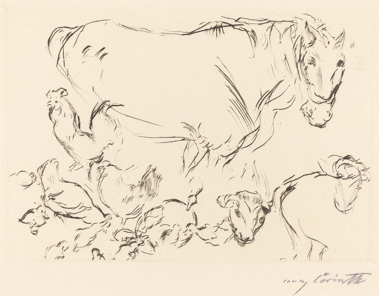 Różne badania na zwierzętach autorstwa Lovis Corinth