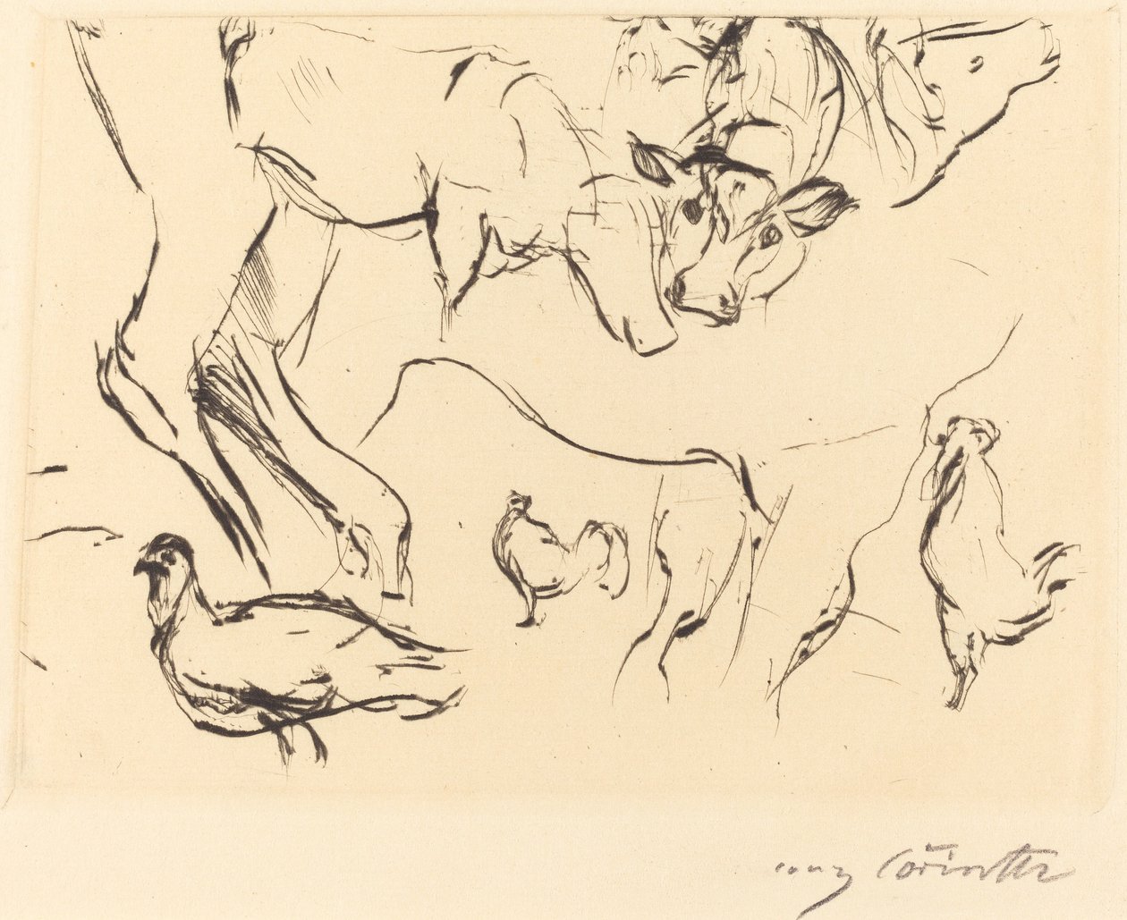 Różne badania na zwierzętach autorstwa Lovis Corinth