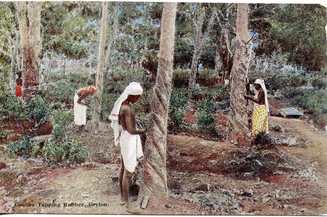 Guma Coolies Tapping Rubber, Cejlon, ok. 1900-20 (zdjęcie ręcznie kolorowane) autorstwa Ltd. Ceylon Plâté