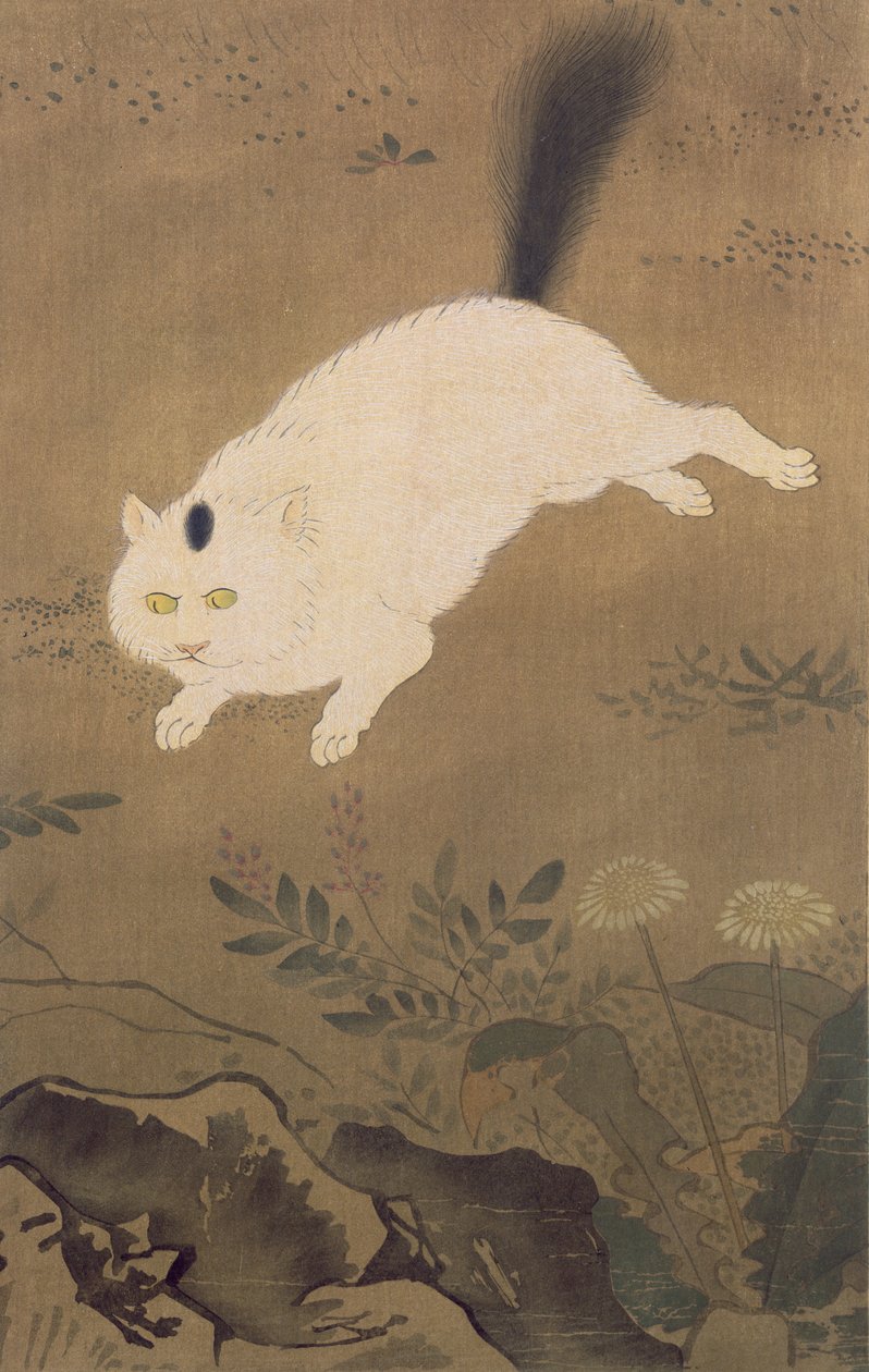 Biały kot, ilustracja z magazynu The Kokka, opublikowana w Japonii, 1896-7 autorstwa Lu Ji