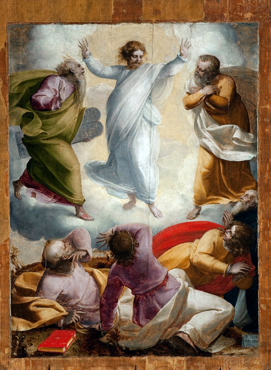 Przemienienie (Malarstwo) autorstwa Luca Cambiaso