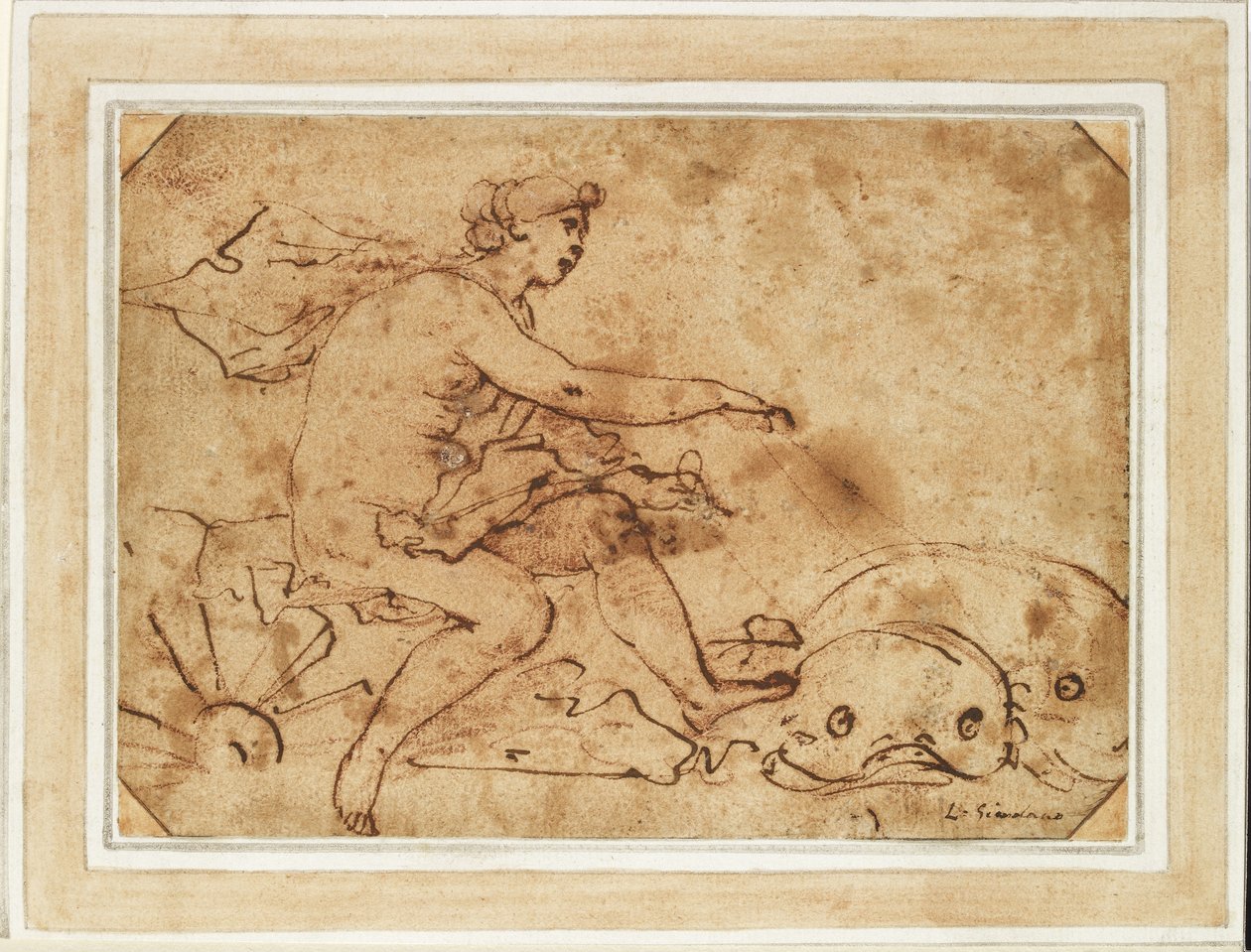 Triumf Galatei, XVII w. (tusz i czerwona kreda na papierze) autorstwa Luca Giordano