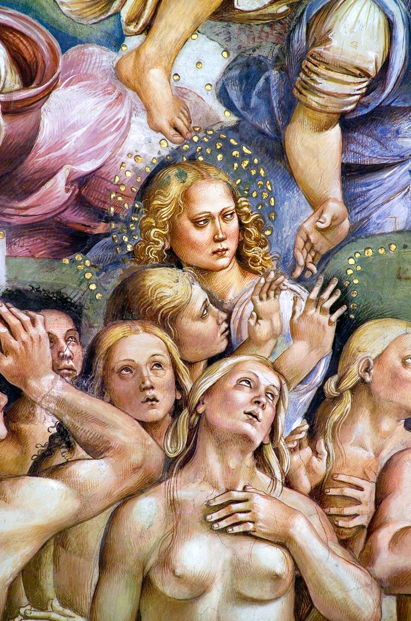 Wybrany, z cyklu fresk Sądu Ostatecznego autorstwa Luca Signorelli