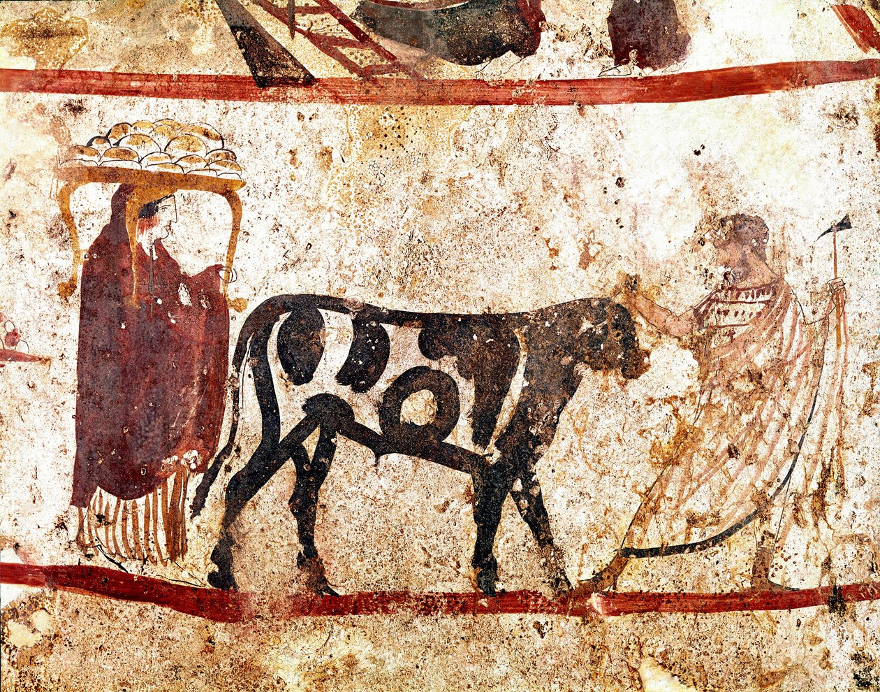Byk prowadzi na ołtarzu fresk ofiarny Lucan z IV wieku pne, z nekropolii Andriuolo w Paestum we Włoszech. Narodowe Muzeum Archeologiczne, Paestum autorstwa Lucanian School