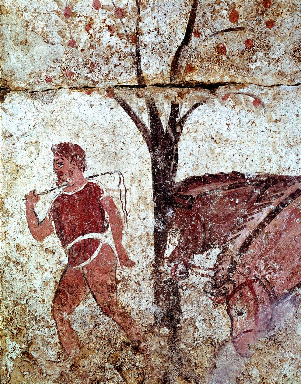 Chłop ciągnący dwa konie fresk Lucanian z IV wieku p.n.e. z nekropolii Paestum we Włoszech. Narodowe Muzeum Archeologiczne, Paestum autorstwa Lucanian School