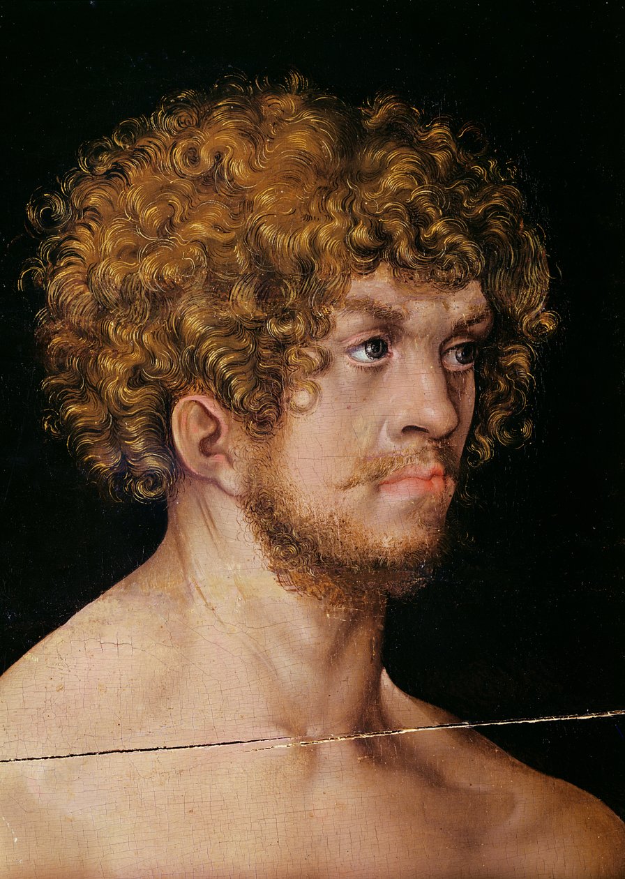 Adam i Ewa, fragment głowy Adama (detal 159264) autorstwa Lucas Cranach the Elder