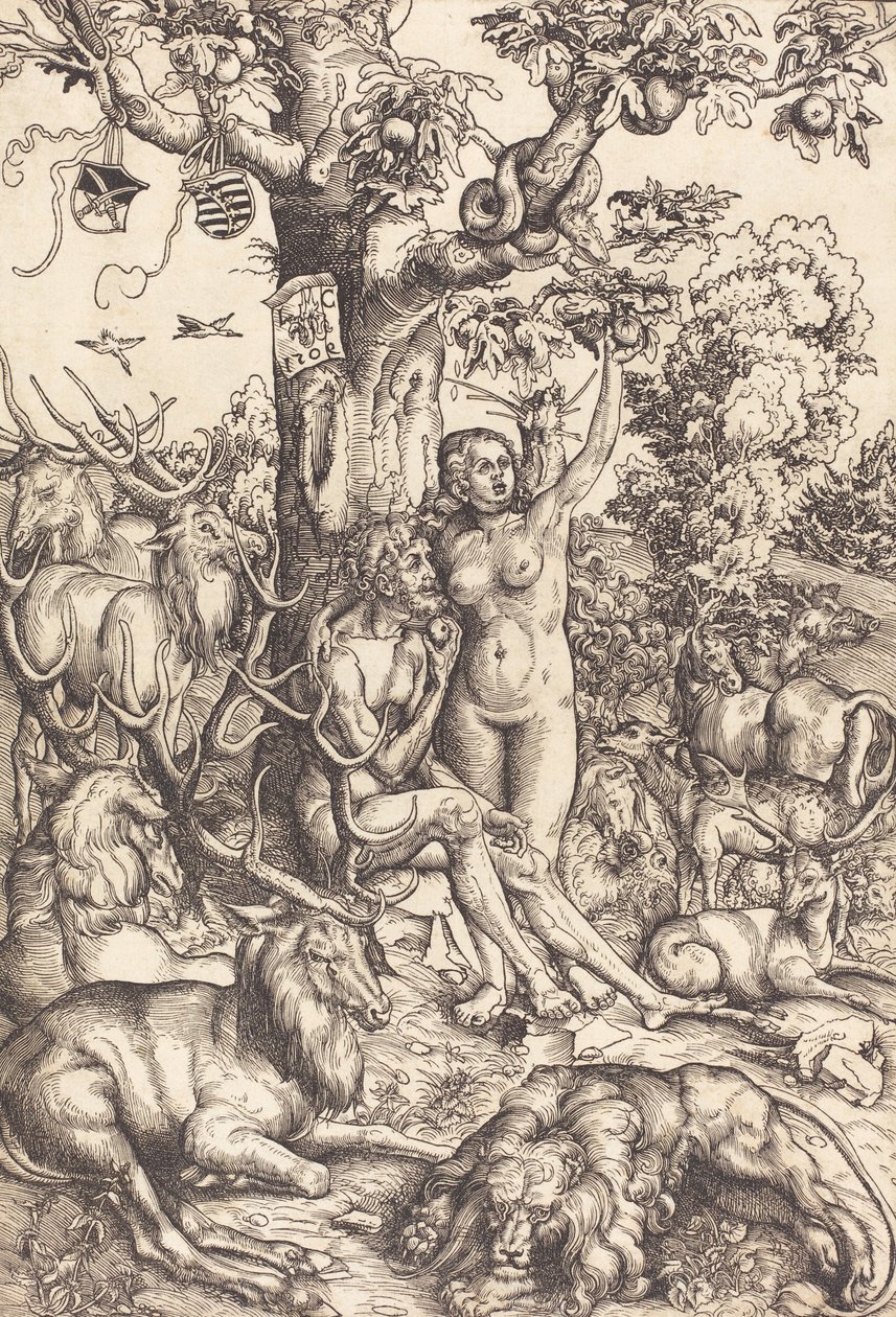 Adam i Ewa (Narodowa Galeria Sztuki) autorstwa Lucas Cranach the Elder