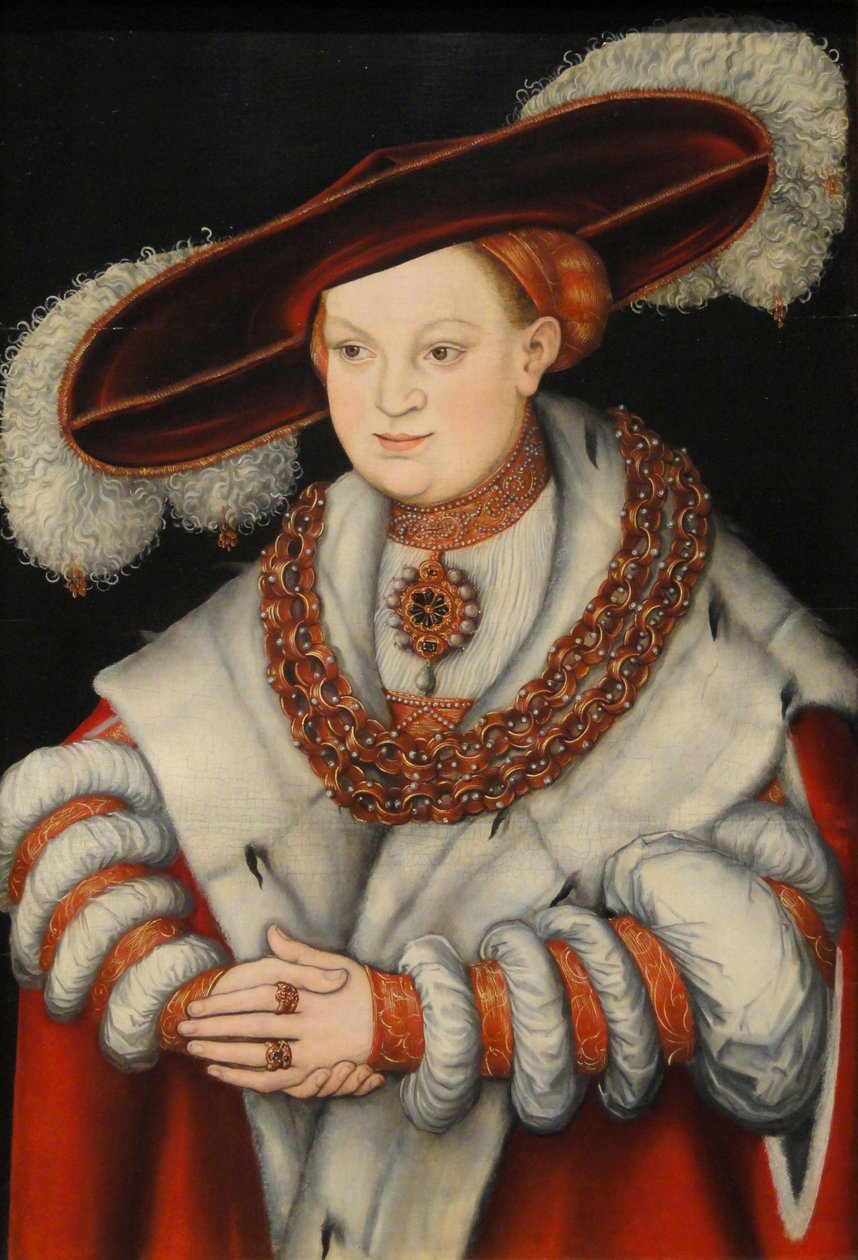 Instytut Sztuki w Chicago autorstwa Lucas Cranach the Elder