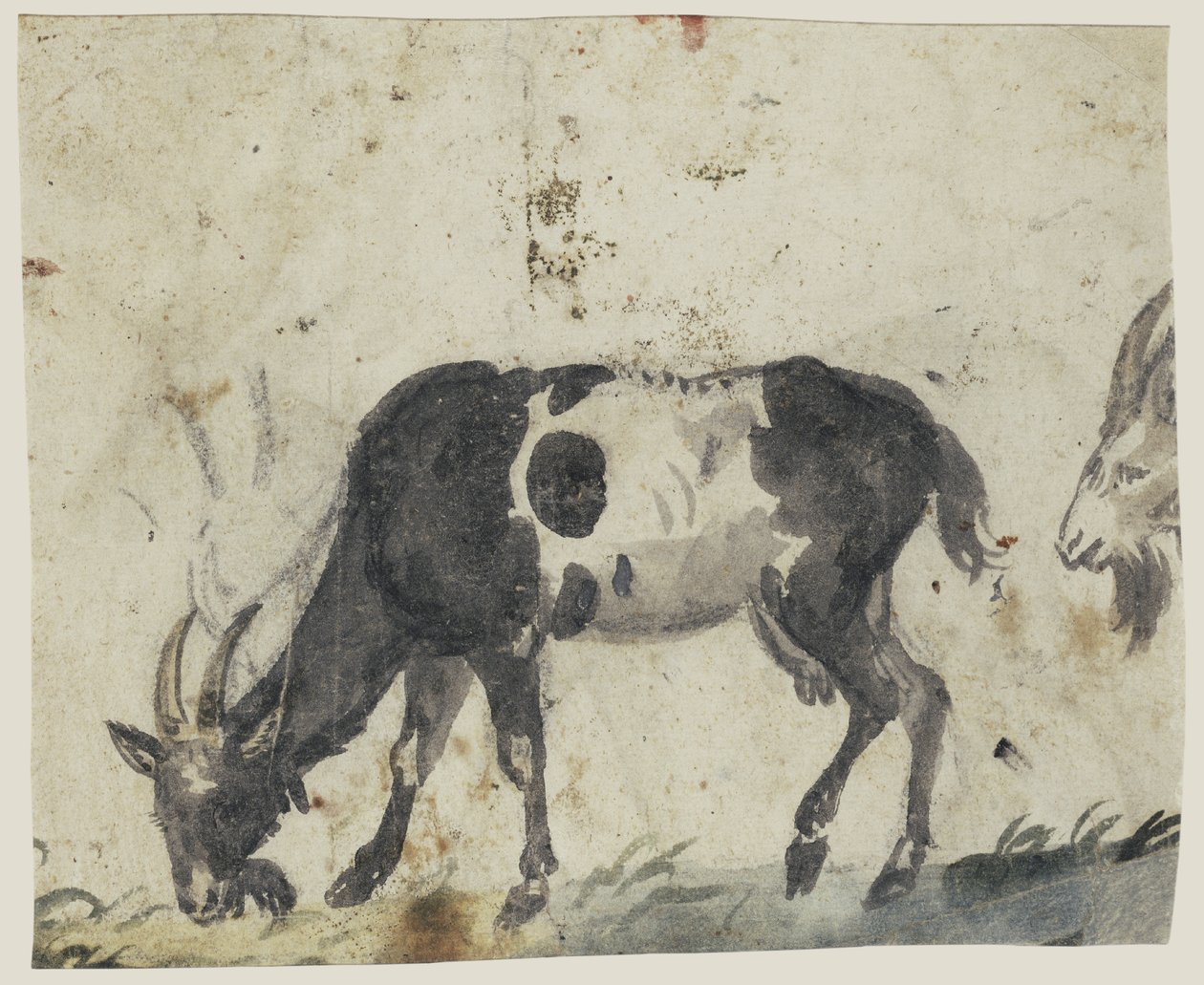 Nauka z kozami autorstwa Lucas Cranach the Elder